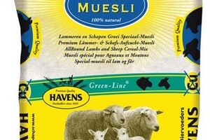 Premium Futter 