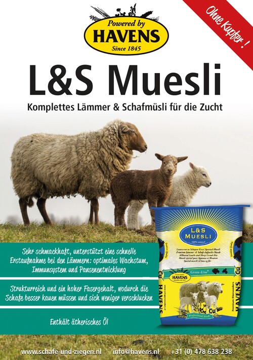 Unsere Bestseller: HAVENS L. & S.-Müsli für Lämmer und Schafe